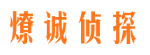 宝丰捉小三公司